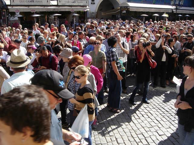 DSC05459