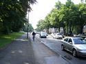 Biking Lane, Cologne, May 15, 2007